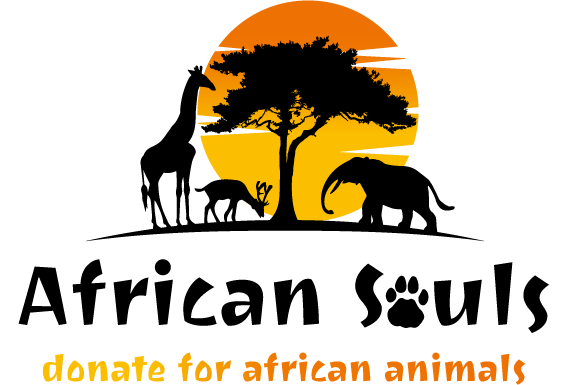 Logo-2-AfricanSouls-final-colorslogan